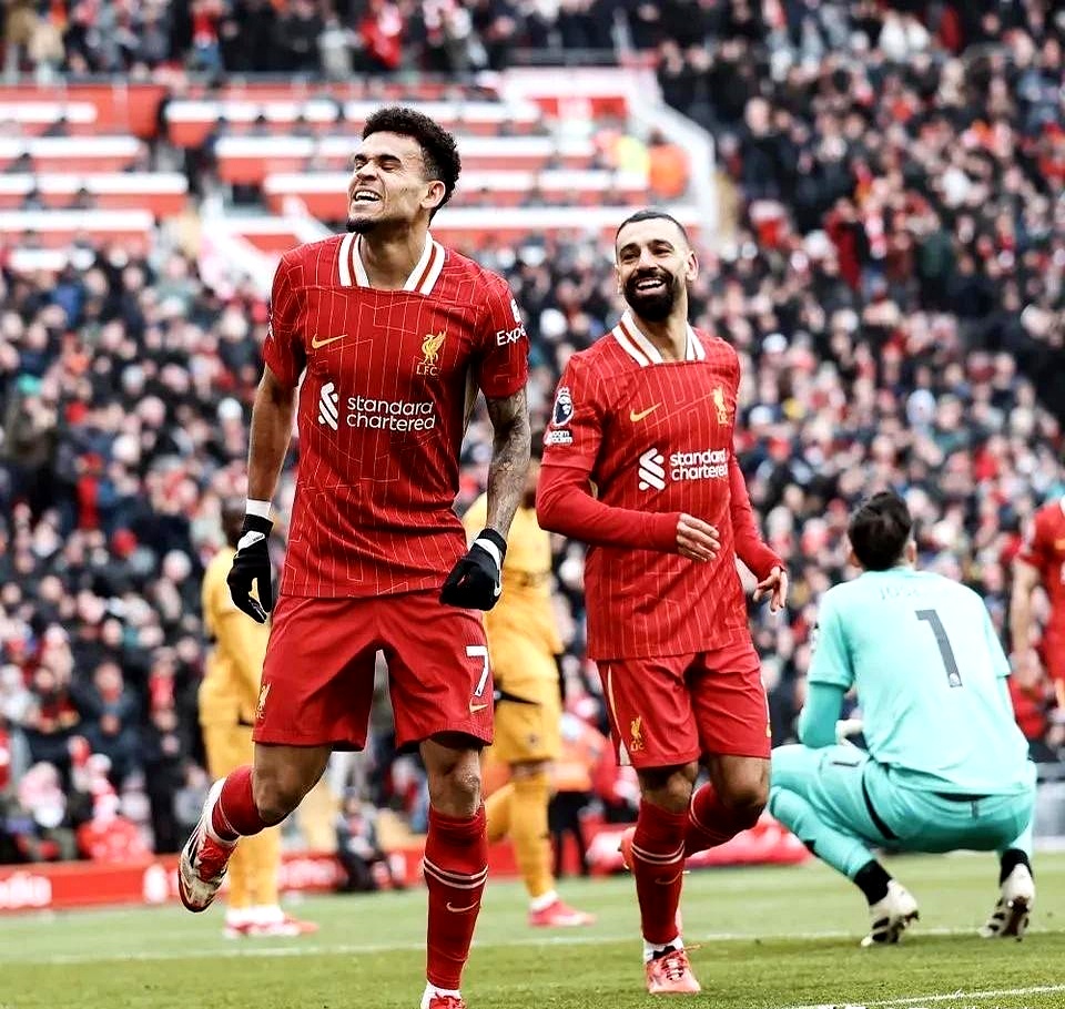 aoa体育-狼堡在主场大胜对手，喜迎三分的简单介绍