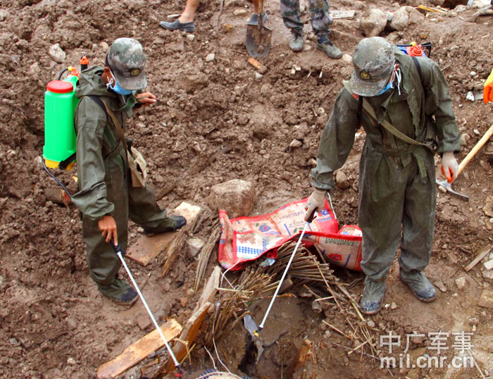 aoa体育体育网页版-西非球队出战，捍卫尊严赢得尊重