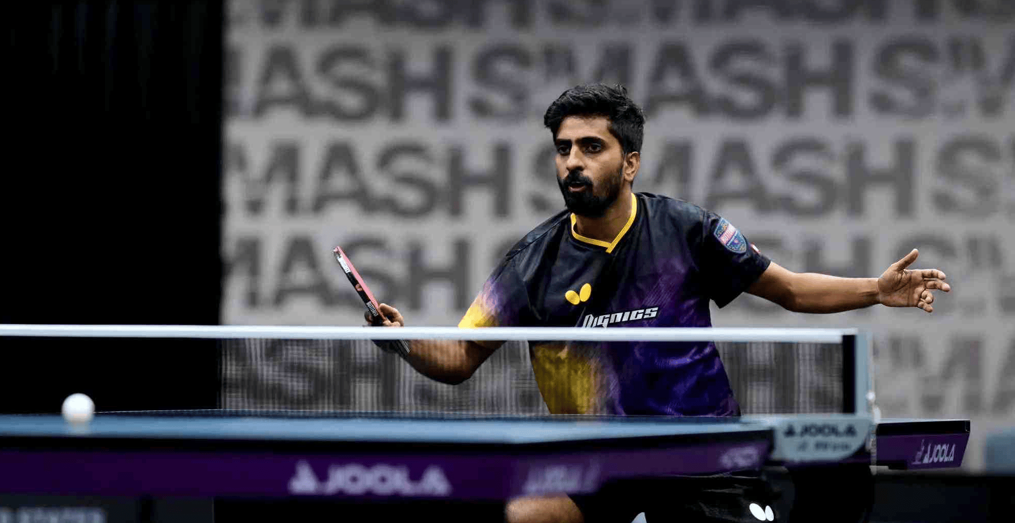 新星崭露头角，表现超预期