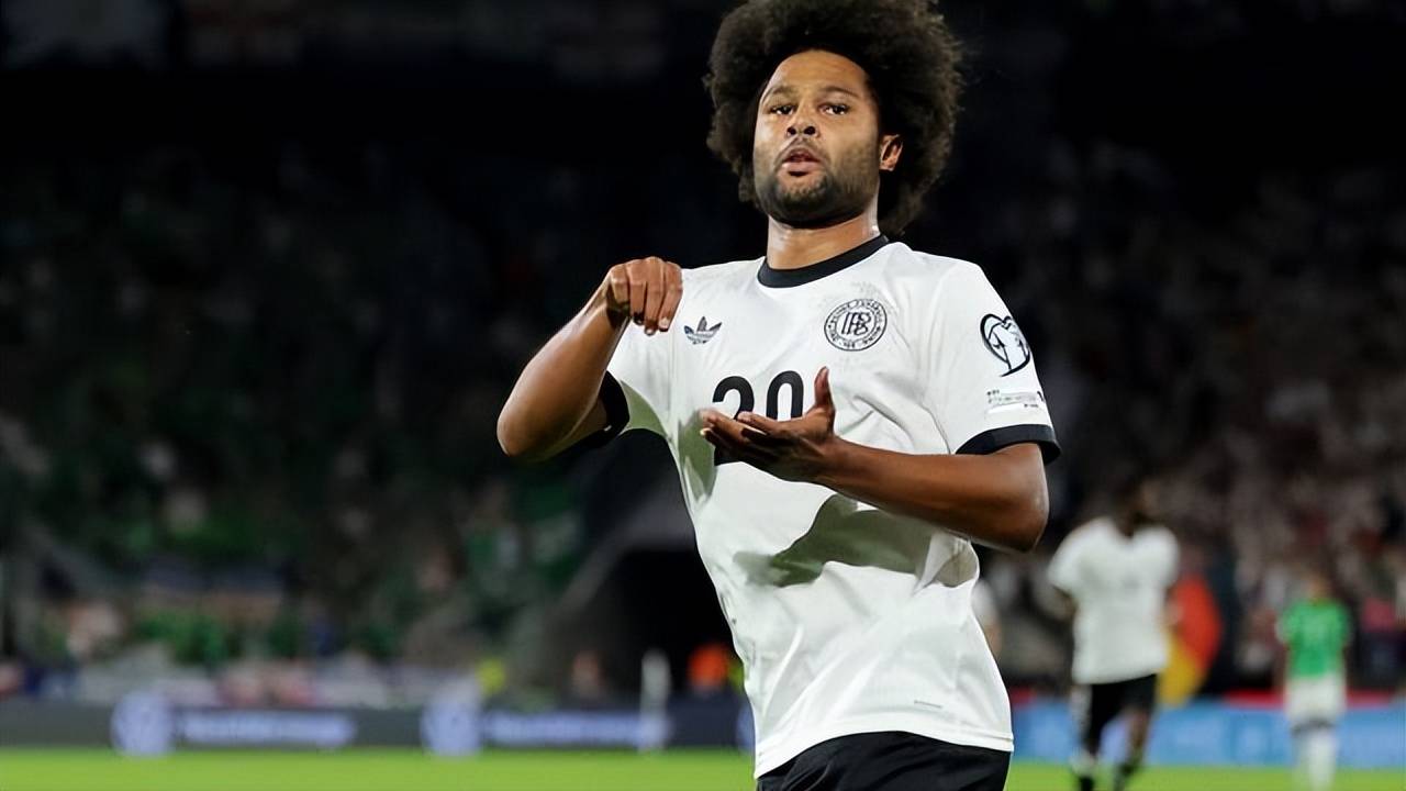 aoa体育-爱尔兰队再度败北，欧预赛形势严峻的简单介绍